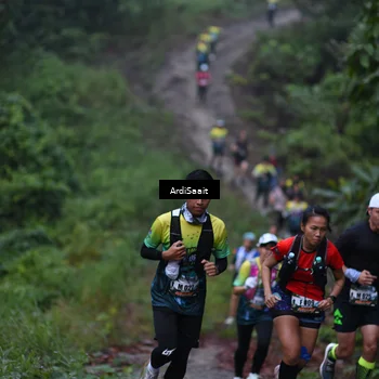 Runner Photo 8359527