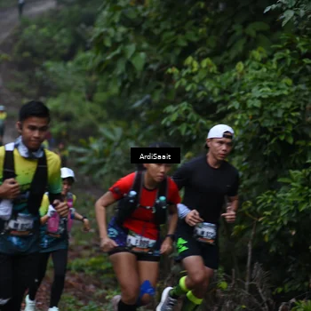 Runner Photo 8359542