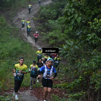 Runner Photo 8359553