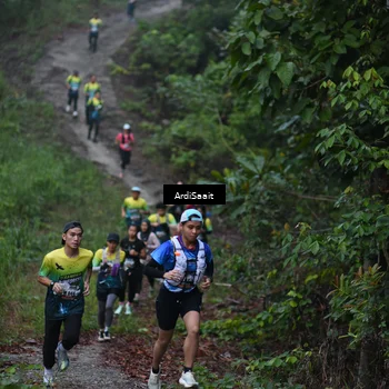 Runner Photo 8359565