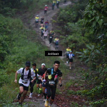 Runner Photo 8359568