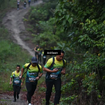 Runner Photo 8359732