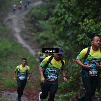 Runner Photo 8359766
