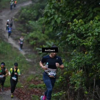 Runner Photo 8359810
