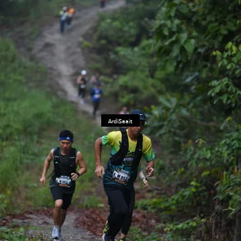 Runner Photo 8359825