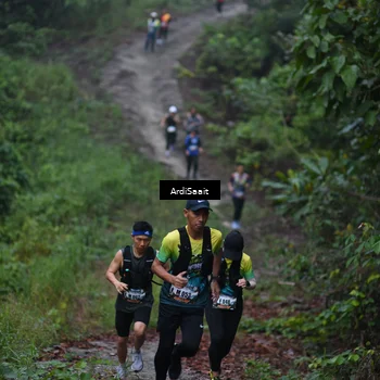 Runner Photo 8359874