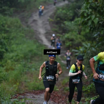 Runner Photo 8359876