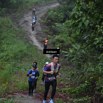 Runner Photo 8359905