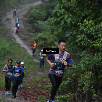 Runner Photo 8359927