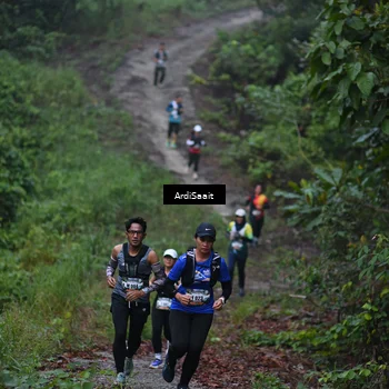 Runner Photo 8359930