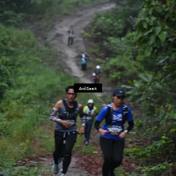 Runner Photo 8359972