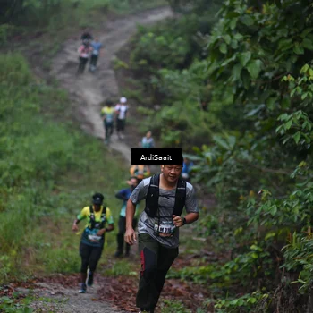 Runner Photo 8360158