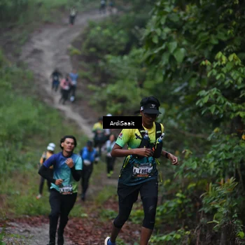 Runner Photo 8360191