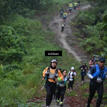 Runner Photo 8360226