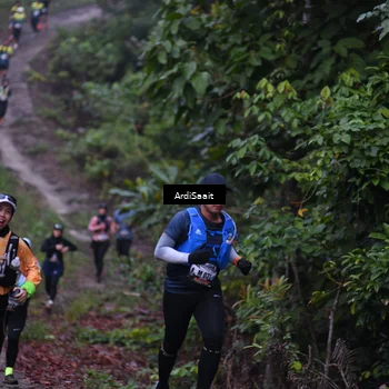 Runner Photo 8360236