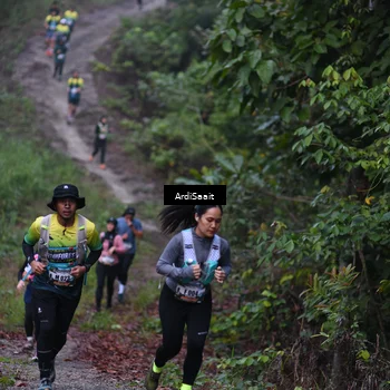 Runner Photo 8360266