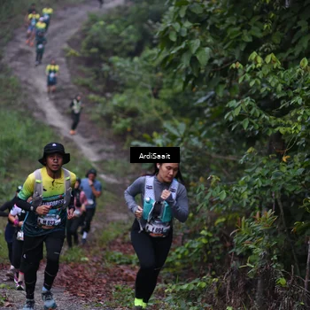 Runner Photo 8360289