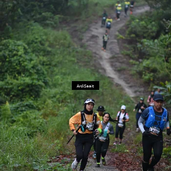 Runner Photo 8360376
