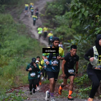 Runner Photo 8360421