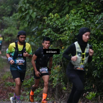 Runner Photo 8360447