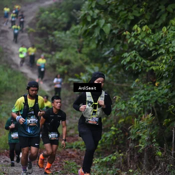 Runner Photo 8360449