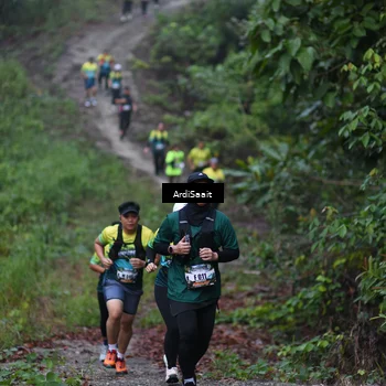 Runner Photo 8360454
