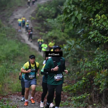 Runner Photo 8360455