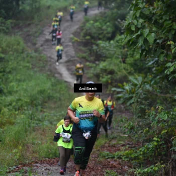 Runner Photo 8360590