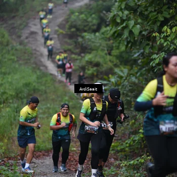 Runner Photo 8360663