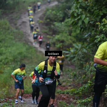 Runner Photo 8360667