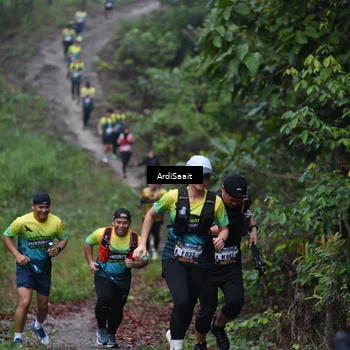 Runner Photo 8360672