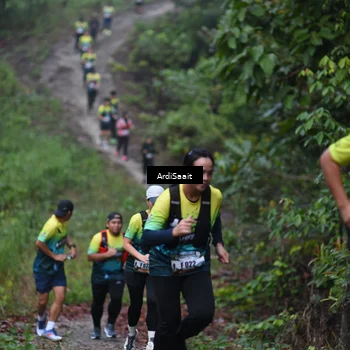 Runner Photo 8360683