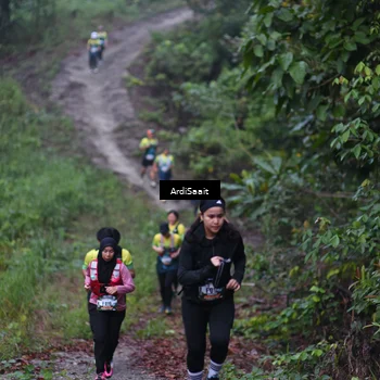 Runner Photo 8360767