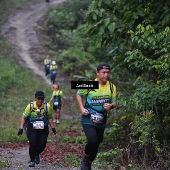 Runner Photo 8360959