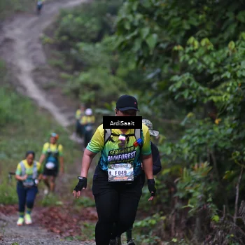 Runner Photo 8360985