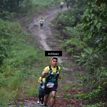 Runner Photo 8361054