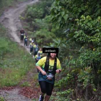 Runner Photo 8361138