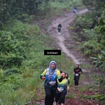 Runner Photo 8361189