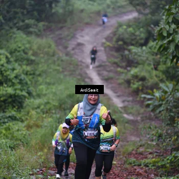 Runner Photo 8361213