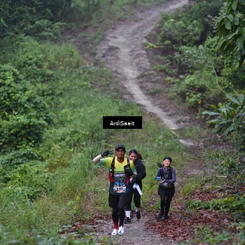 Runner Photo 8361493