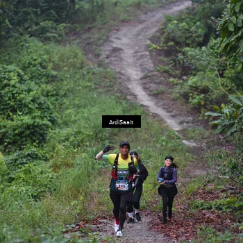 Runner Photo 8361502
