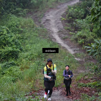 Runner Photo 8361524