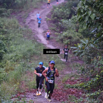 Runner Photo 8361592