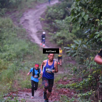 Runner Photo 8361664