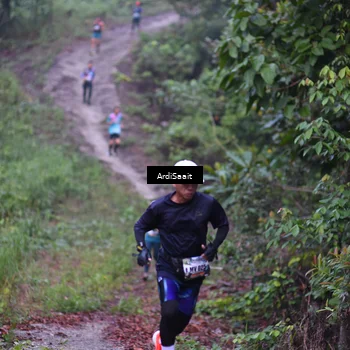 Runner Photo 8361743