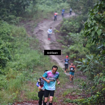 Runner Photo 8361768