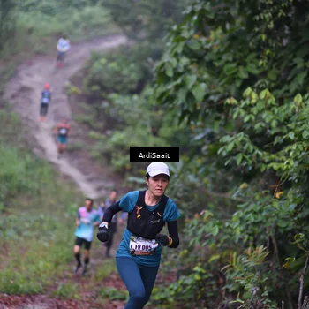 Runner Photo 8361798