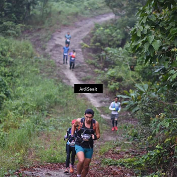 Runner Photo 8361825