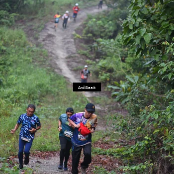 Runner Photo 8361864