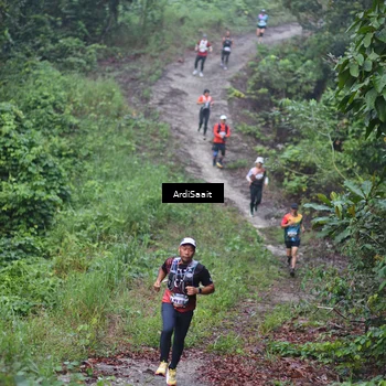 Runner Photo 8361910
